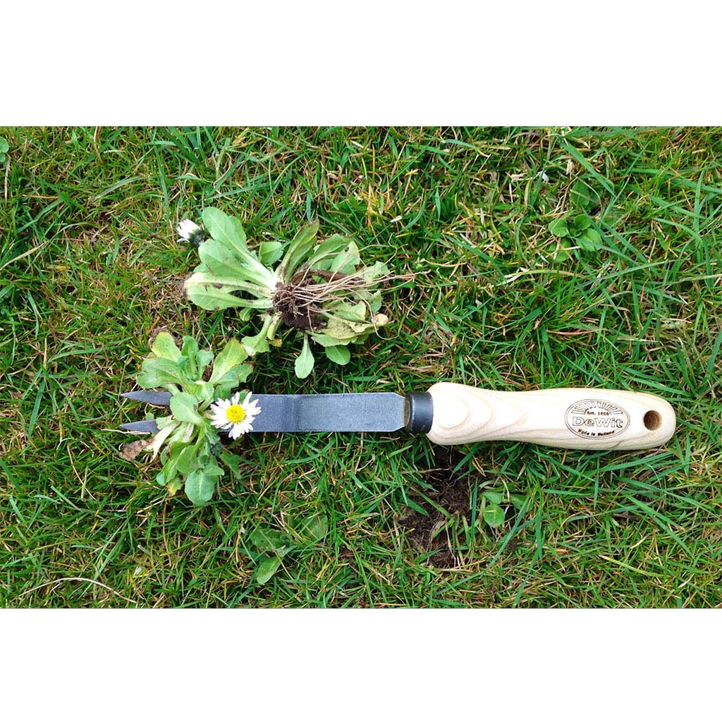 DeWit Bio Daisy Grubber - in garden