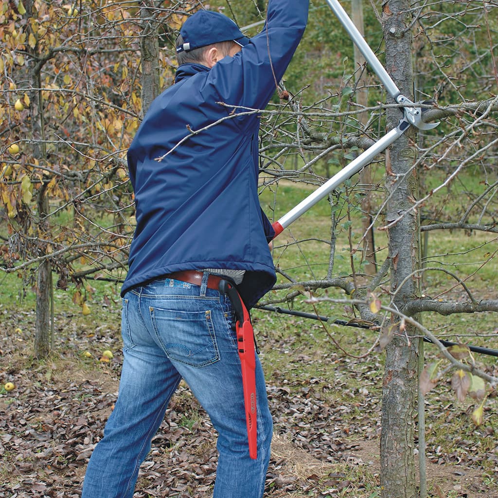 Felco 231 Lever Action Lopper in use 1