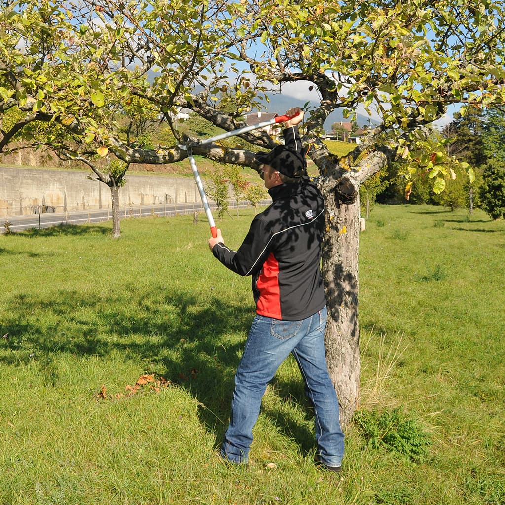 Felco 231 Lever Action Lopper in use2