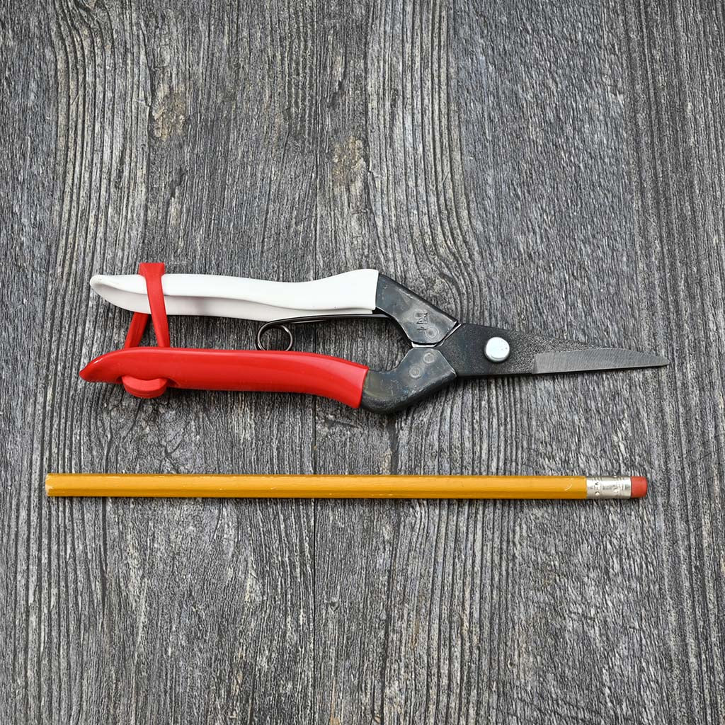 Pointed Thinning Shears by Okatsune size comparison