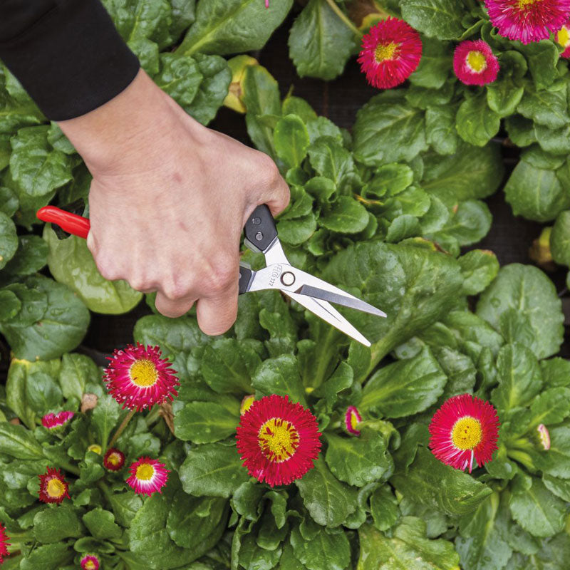 Picking & Trimming Snips F322 by Felco - in use