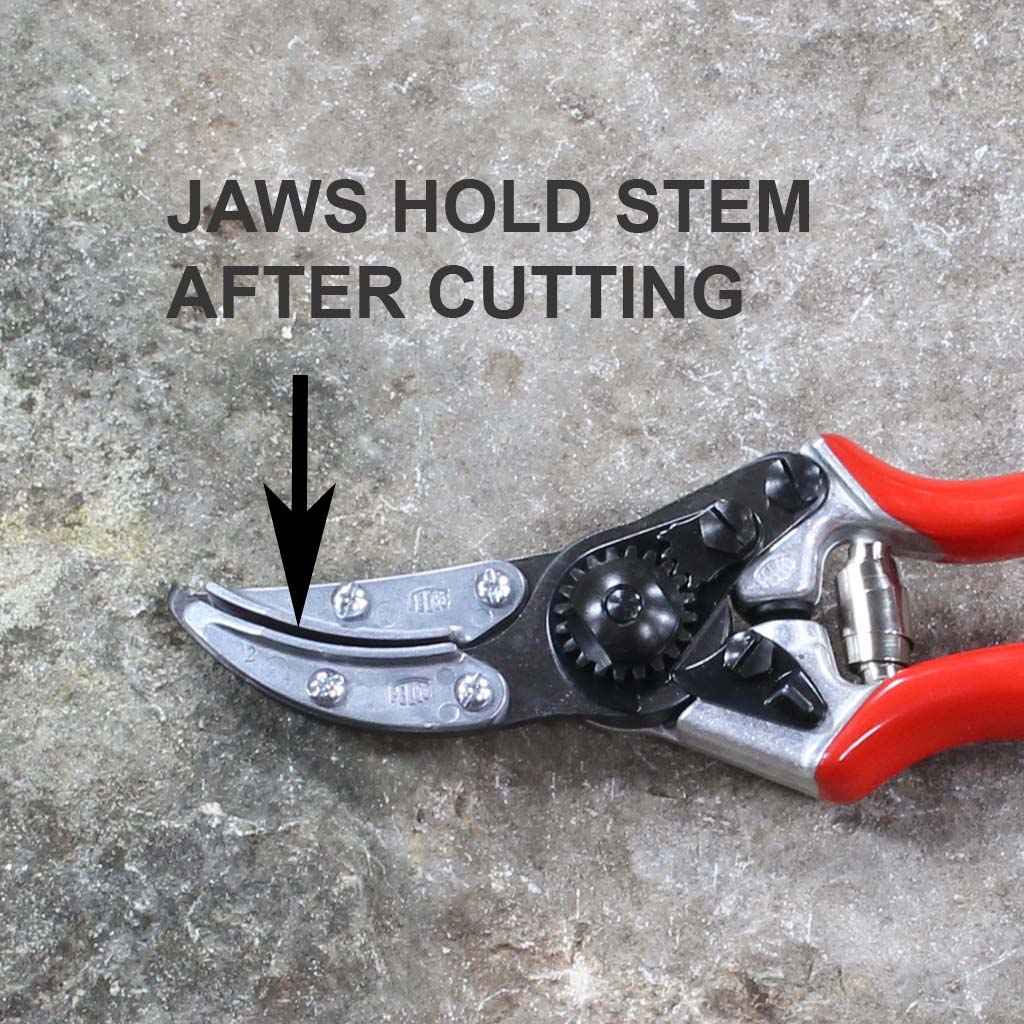 Cut N Hold Rose Pruning Shears F100 by Felco - stem holding jaws