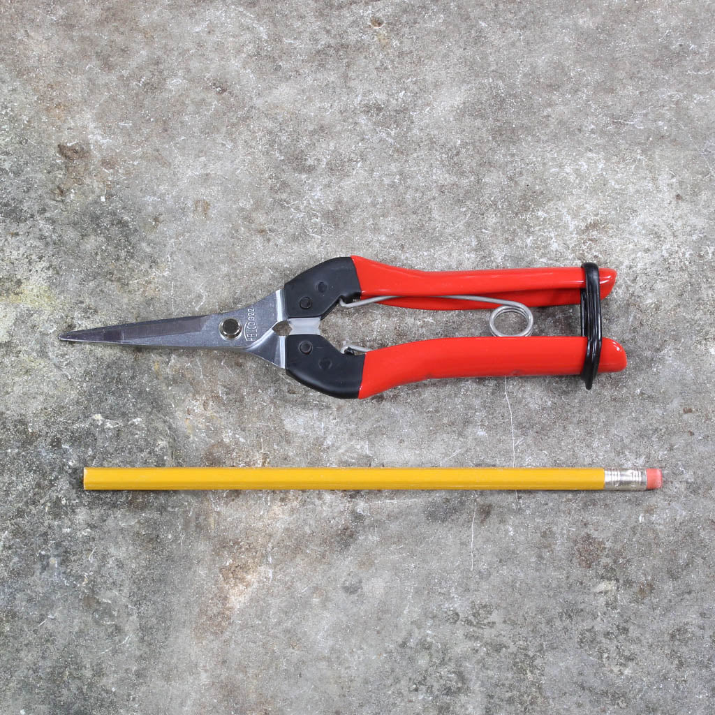 Picking & Trimming Snips F322 by Felco - size comparison