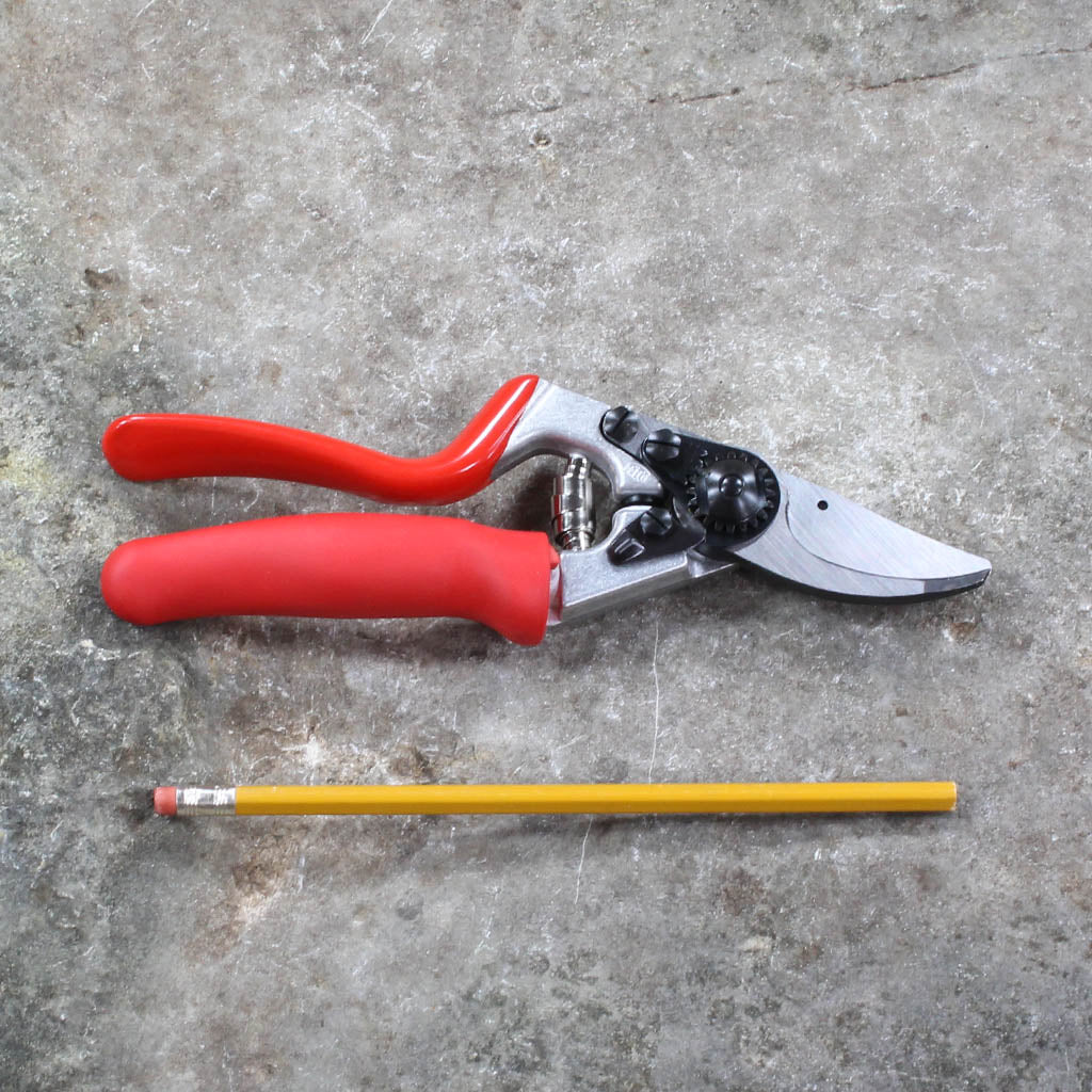 Left-Handed Pruning Shears F10 by Felco - size comparison