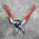 Pruning Shears F13 by Felco - front view