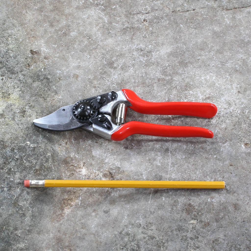 Small Hands Pruning Shears F14 by Felco - size comparison