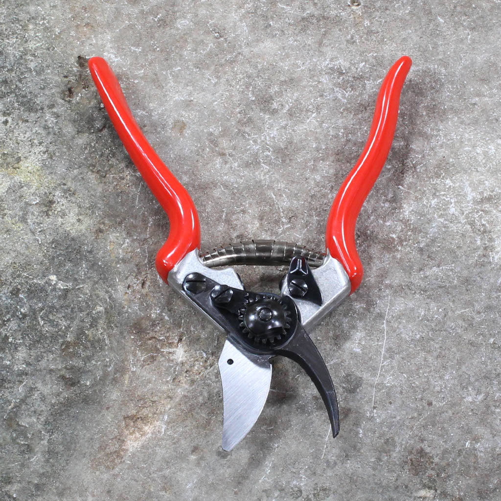 Small Hands Pruning Shears F6 by Felco - front view