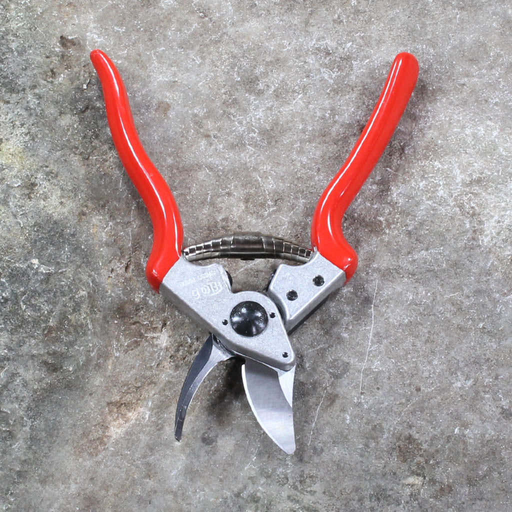 Small Hands Pruning Shears F6 by Felco - back view