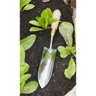 Sophie Conran Long Thin Trowel by Burgon & Ball in garden