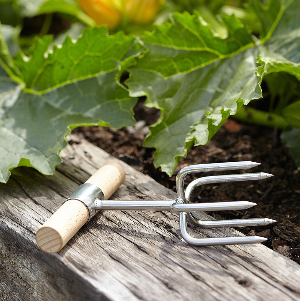 Sophie Conran Twist Cultivator by Burgon & Ball in garden