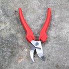 Trimming & Picking Snips F300 by Felco - front view