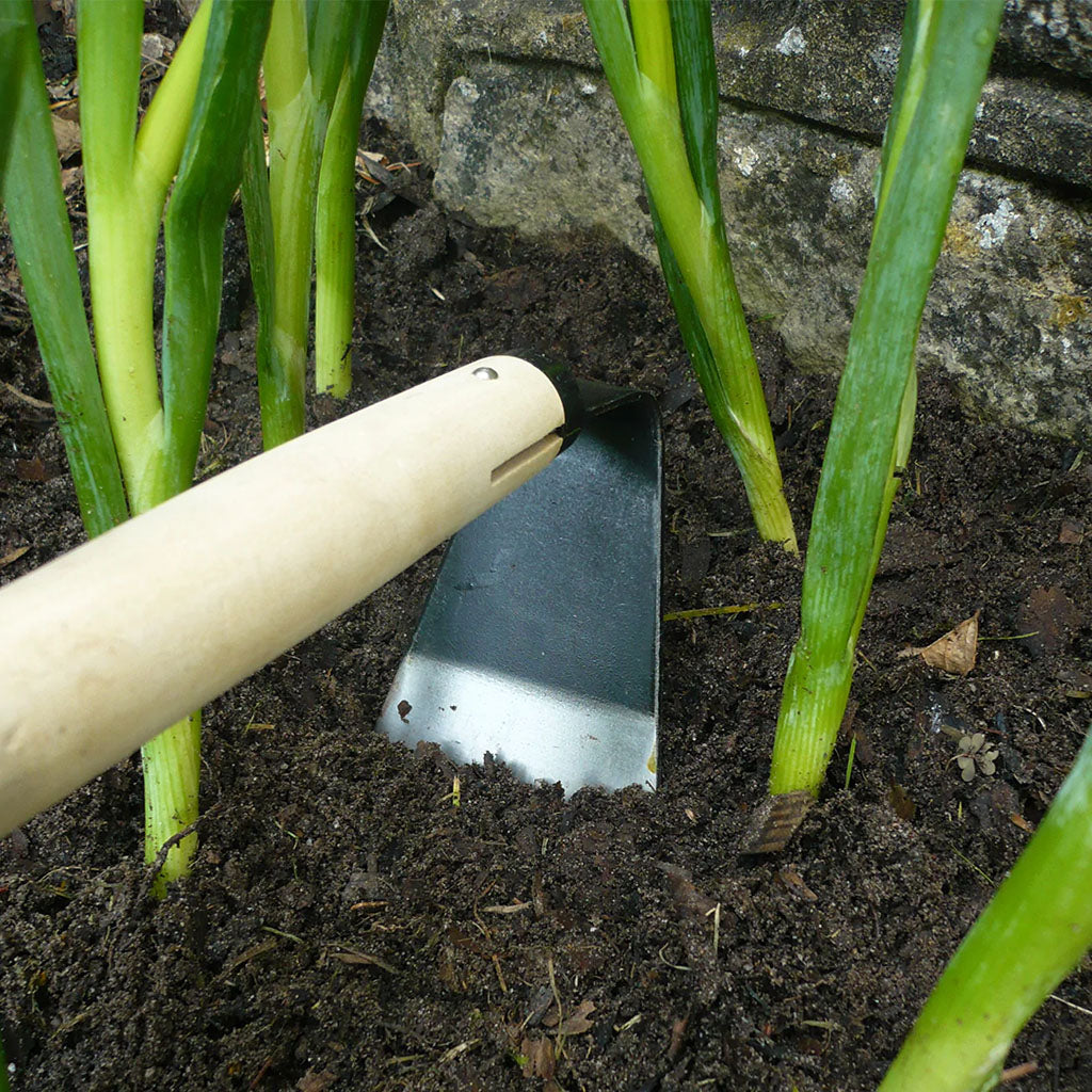Vegetable Hoe by Burgon & Ball - in garden