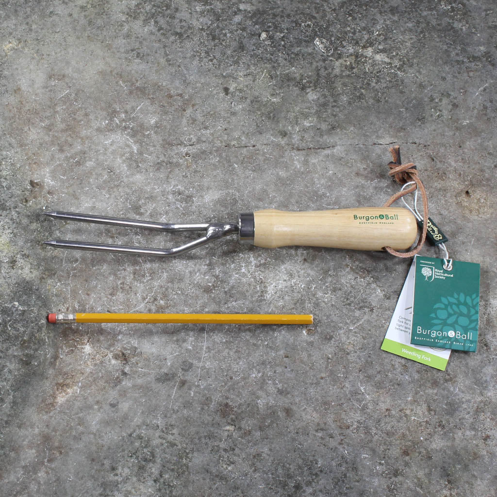 Weeding Fork by Burgon and Ball - size comparison