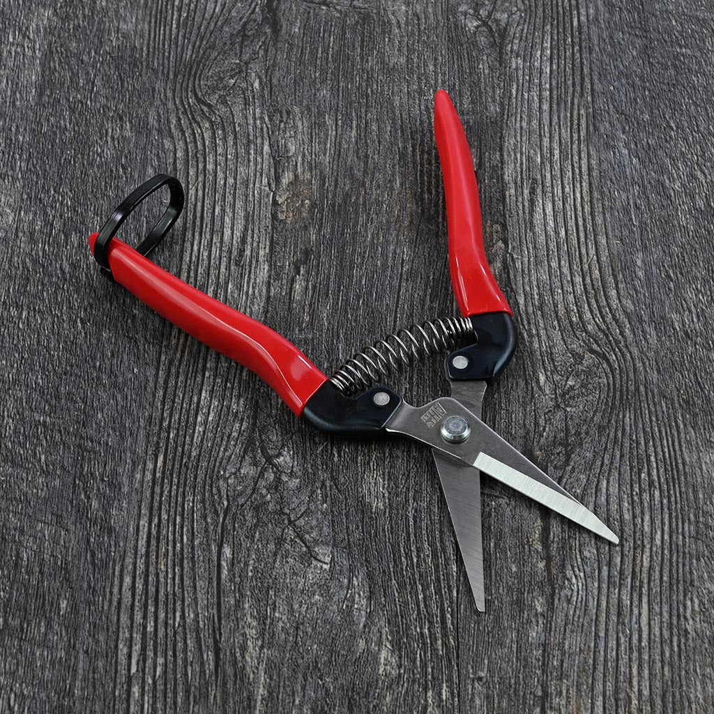 Stainless Needle Nose Pruner by ARS - Open front