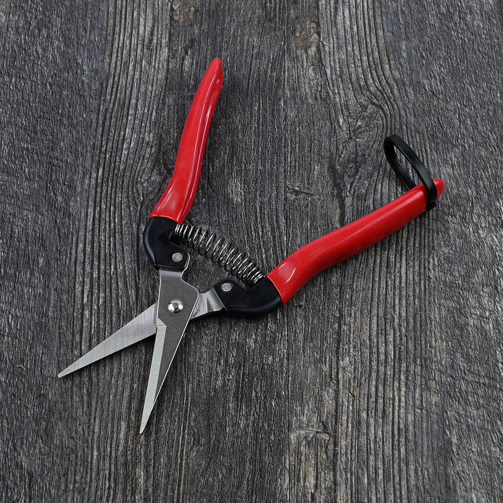 Stainless Needle Nose Pruner by ARS - open back