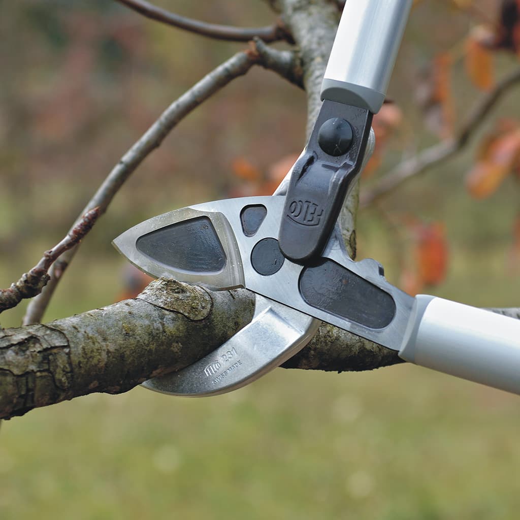 Felco 231 Lever Action Lopper cutter detail