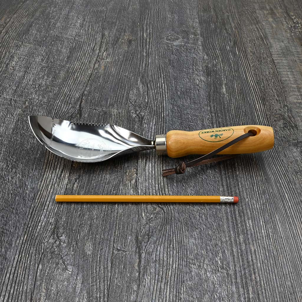 ADA SOIL SCOOP MAGE 木製 魚用品・水草