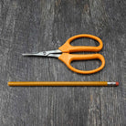 Harvesting Pruner by ARS - size comparison