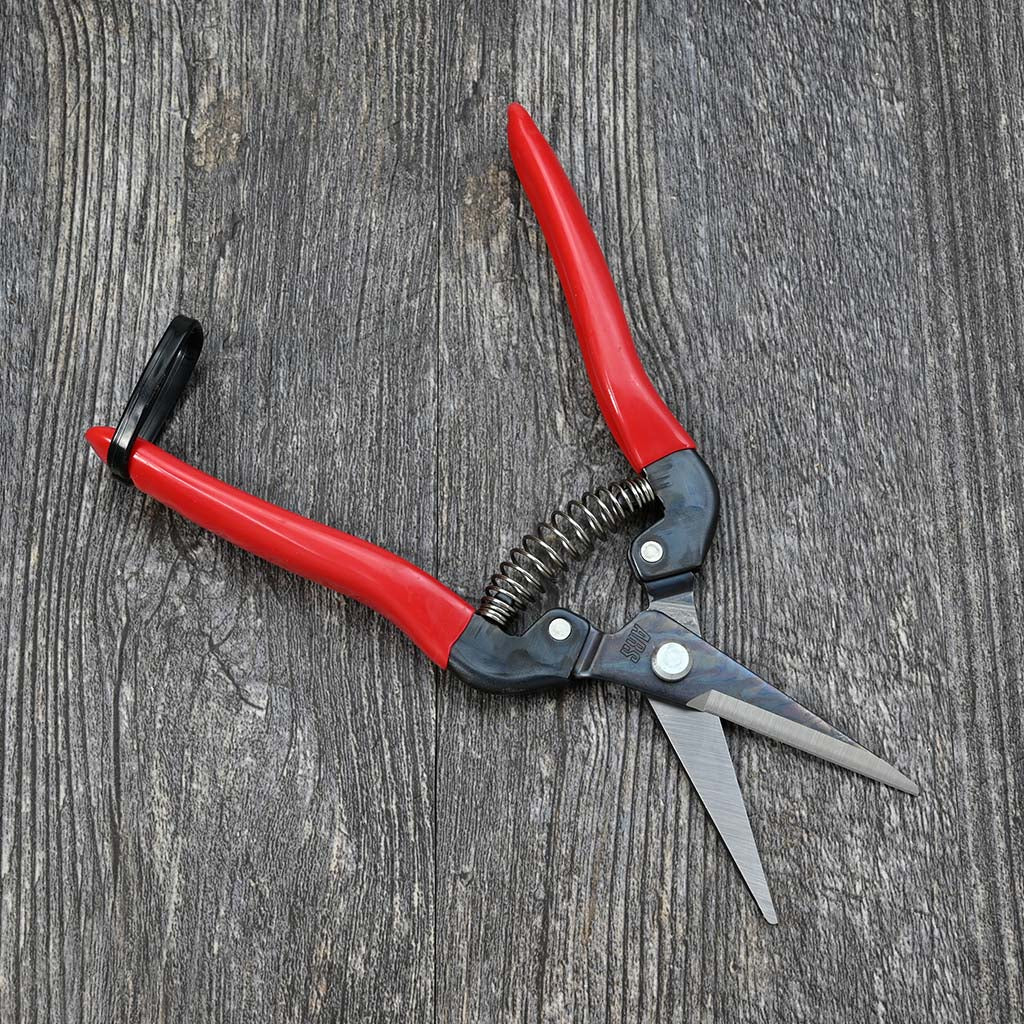 Needle Nose Pruner by ARS open
