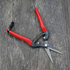 Needle Nose Pruner by ARS open