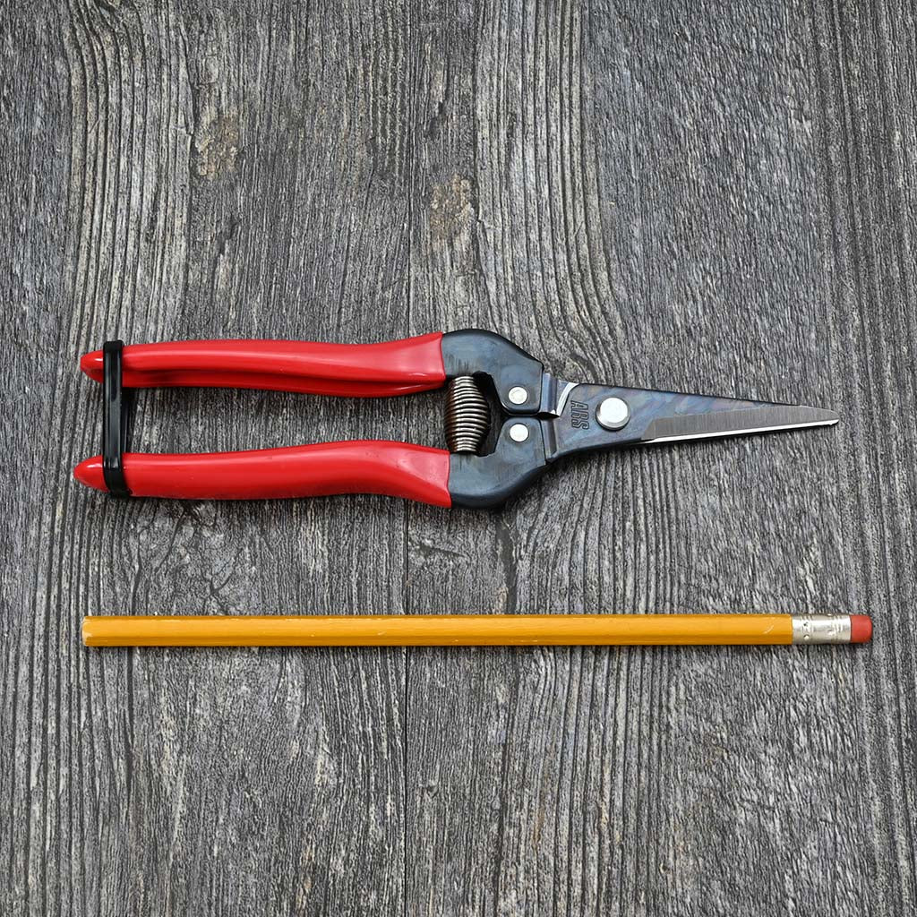 Needle Nose Pruner by ARS size comparison