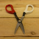 Flower and Bonsai Scissors - Front