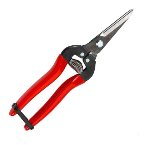 Needle Nose Pruner by ARS