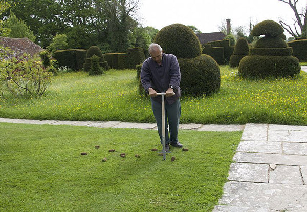 Great Dixter Bulb Planter by Sneeboer - in use