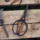 Large Garden Scissors by Barebones - on garden table