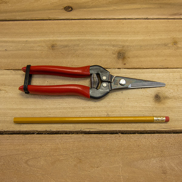 Needle Nose Pruner by ARS - Size