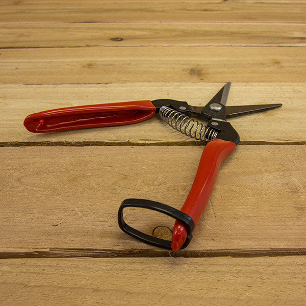 Needle Nose Pruner by ARS - Open Back
