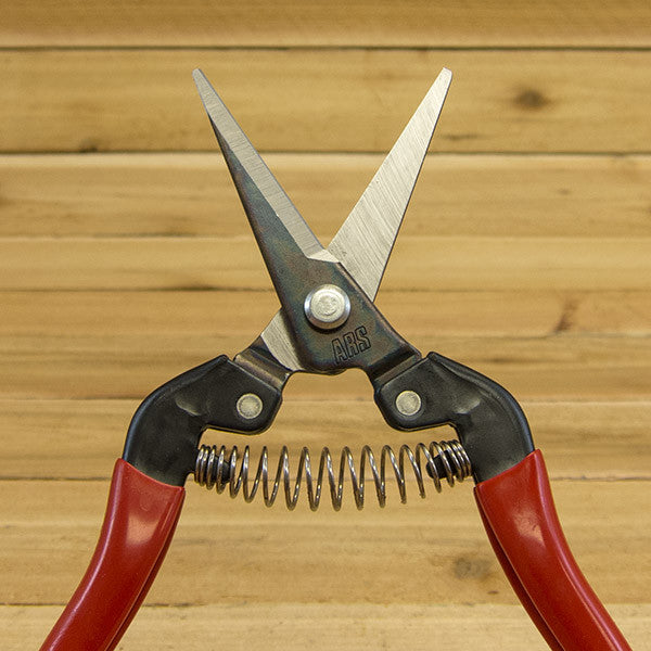 Needle Nose Pruner by ARS - Blade Detail