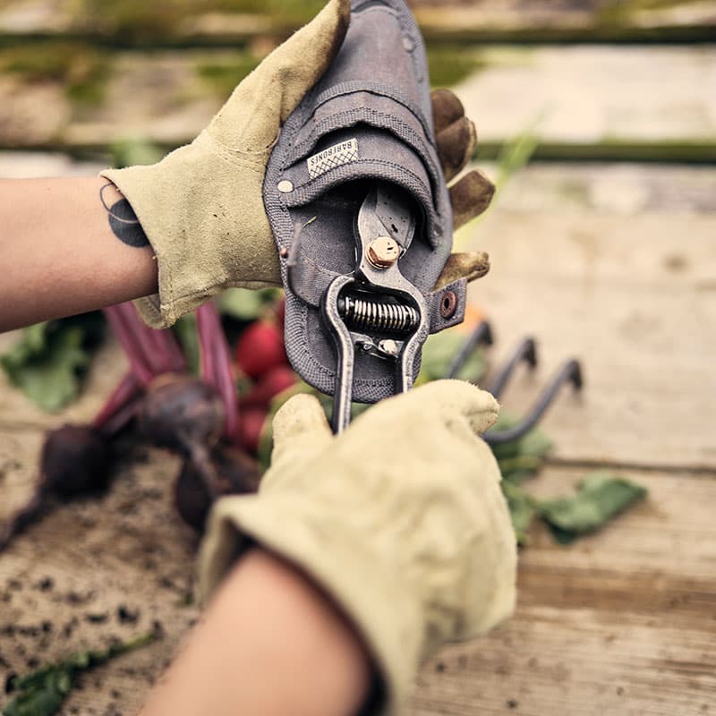 Pruner with Sheath by Barebones - pulling pruners from sheath