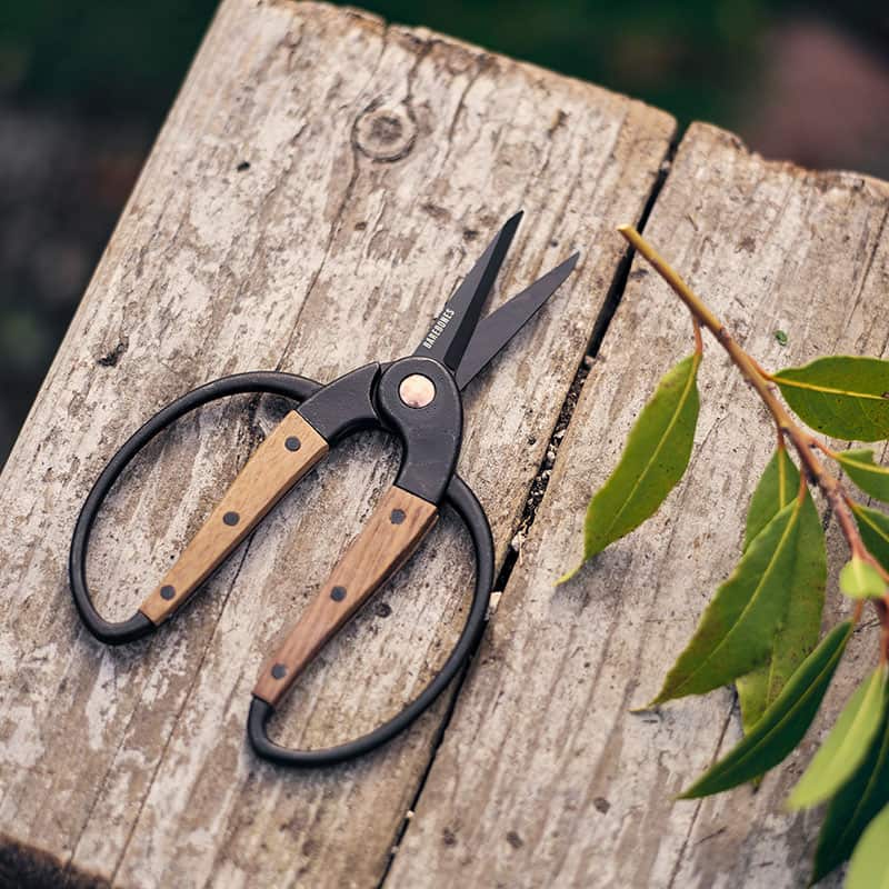 Small Garden Scissors by Barebones - on garden table