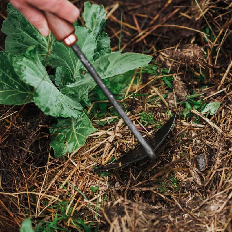 Triangle Garden Hoe by Barebones - garden weeding