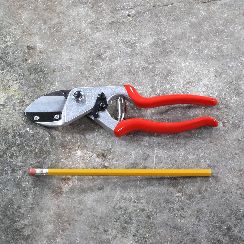 Anvil Pruning Shears F31 by Felco - size comparison