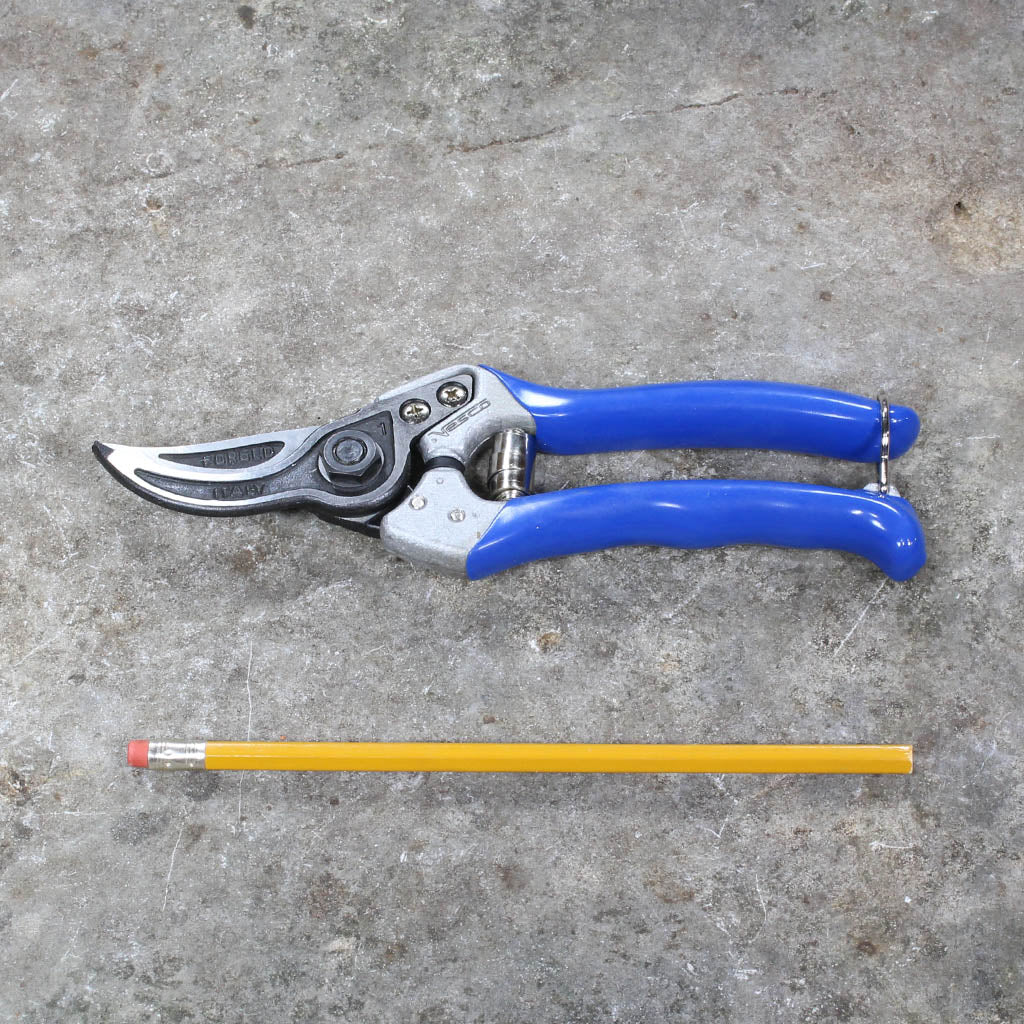 Bypass Pruning Shears A1 by Vesco - size comparison