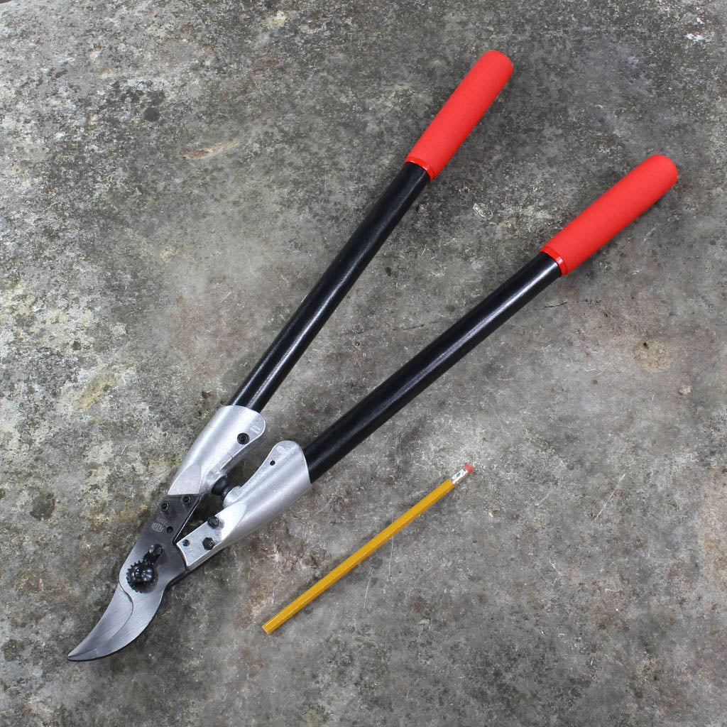 Loppers with Carbon Fiber Handles by Felco - size comparison
