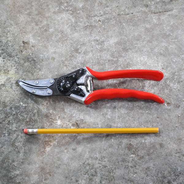 Cut N Hold Rose Pruning Shears F100 by Felco - size comparison
