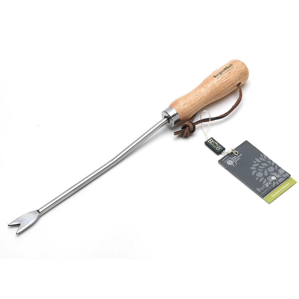 Burgon & Ball Dandelion Weeder - Thumbnail 2