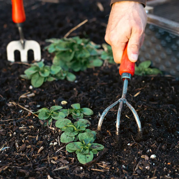 Gardening Cultivator by Felco - man using