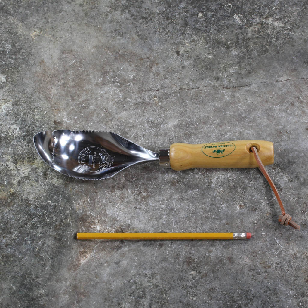 Potting Scoop - size comparison
