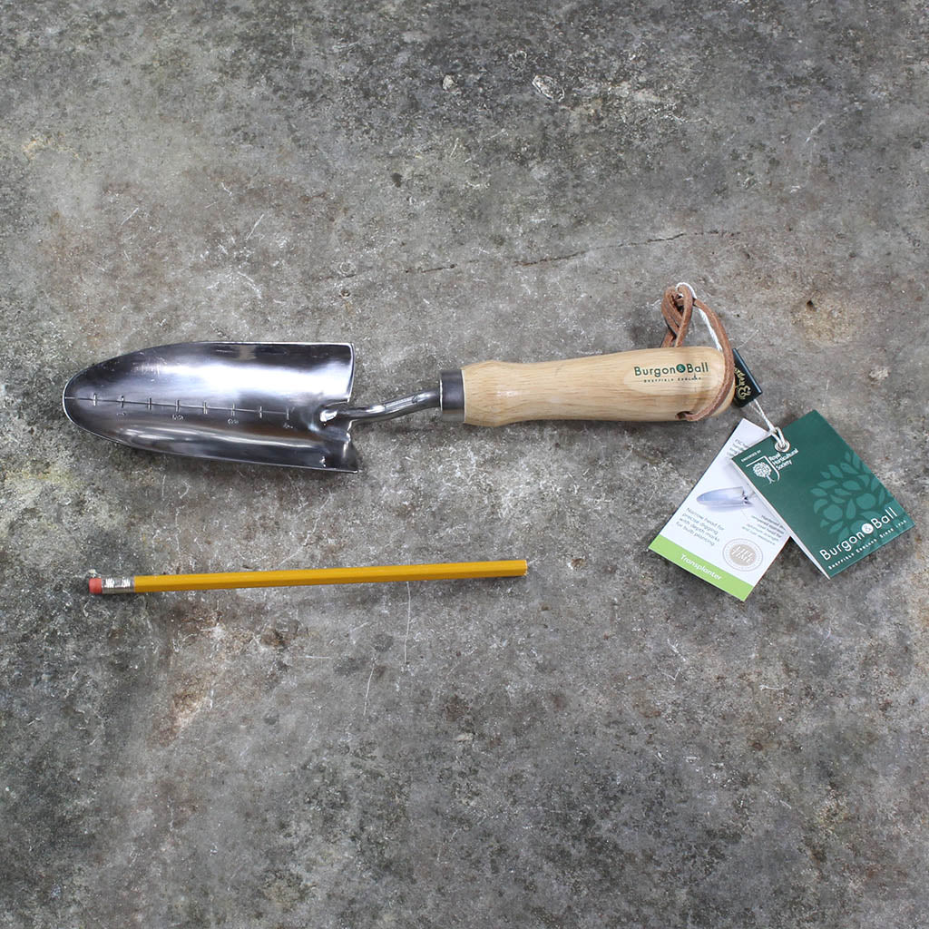 Garden Transplanting Trowel from Burgon & Ball - size comparison