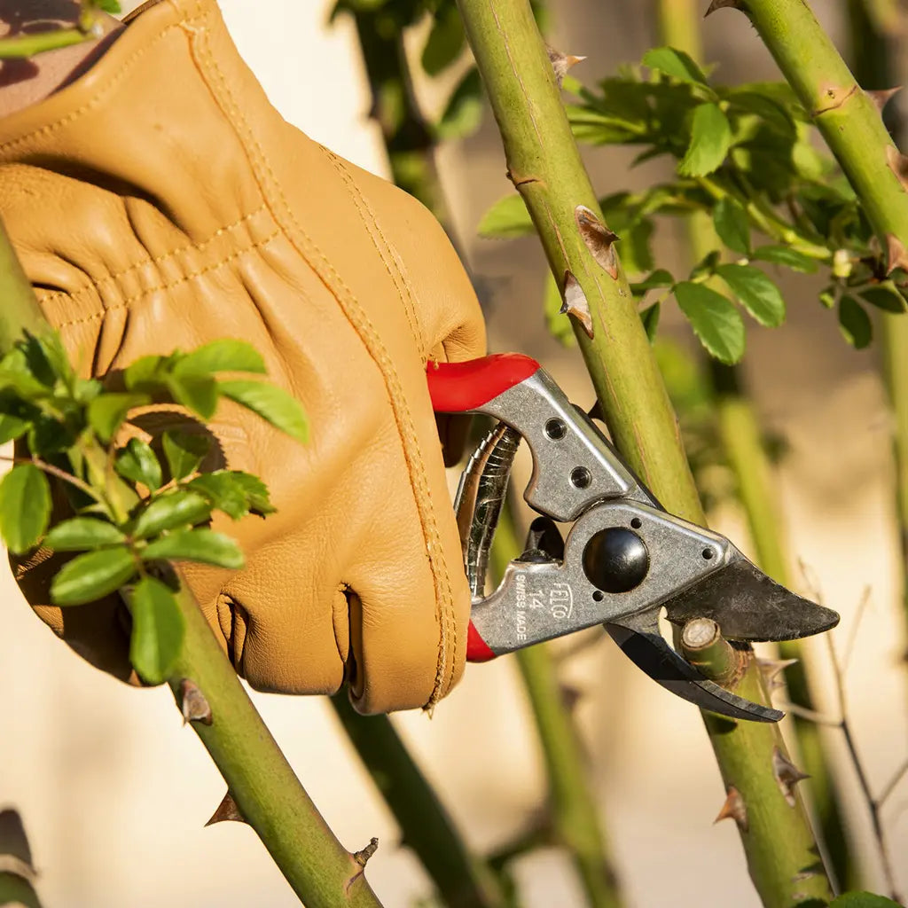 Leather Garden Gloves by Felco - in use 1