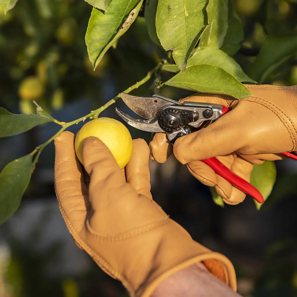 felco gardening gloves Felco Leather Garden Gloves – Garden Tool Company
