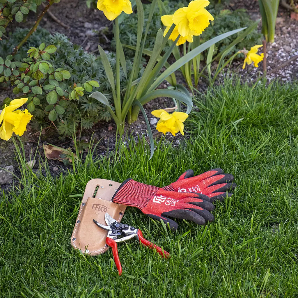 Nitrile Garden Gloves by Felco - in grass with pruners
