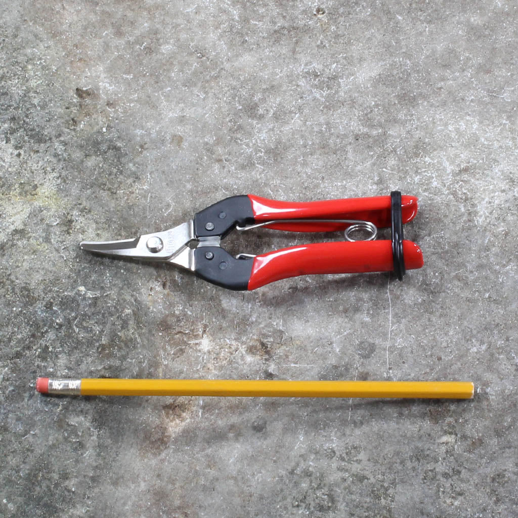 Picking & Trimming Snips F320 by Felco - size comparison