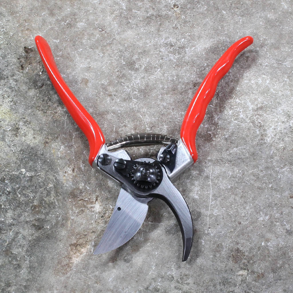 Pruning sales shears tool