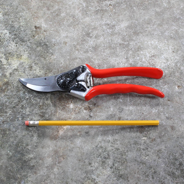 Pruning Shears F11 by Felco - size comparison
