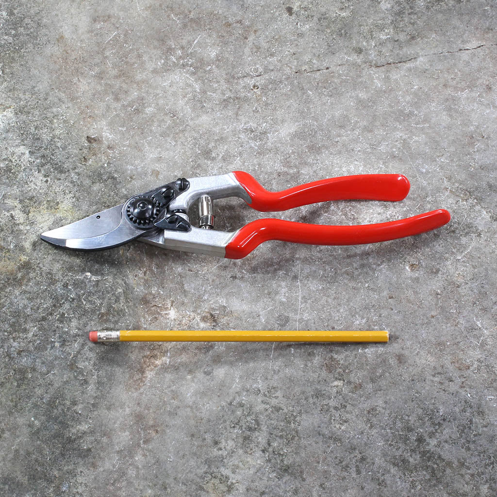 Pruning Shears F13 by Felco - size comparison